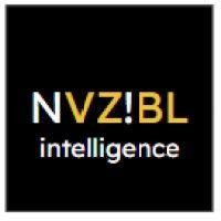 nvz!bl logo image