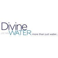 the divine water co ltd logo image