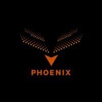 phoenix group logo image