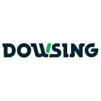 dowsing group logo image