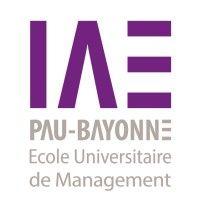 iae pau-bayonne logo image