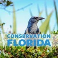 conservation florida logo image