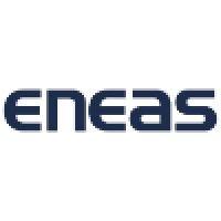 eneas services as logo image