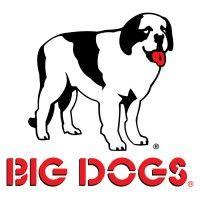 big dog sportswear logo image