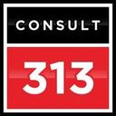 logo of Consult 313 Ltd