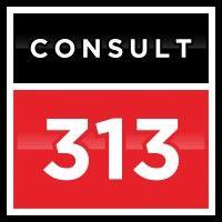 consult 313 ltd