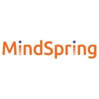 mindspring partners llc logo image