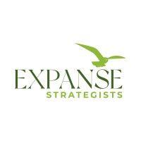 expanse strategists llc logo image