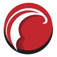 precisionhawk logo image