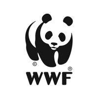 wwf méxico logo image