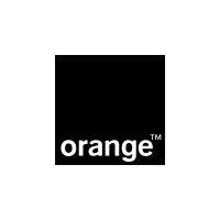 orange jordan logo image