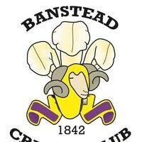 banstead cricket club logo image