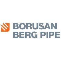 borusan berg pipe logo image