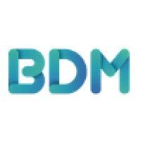 bdm international billing & recovery services logo image