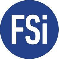 fsi strategies, inc.