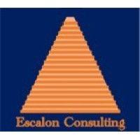 escalon consulting logo image