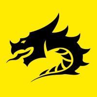 black dragon studios logo image