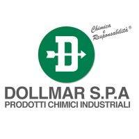 dollmar s.p.a. logo image