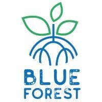 blue forest logo image