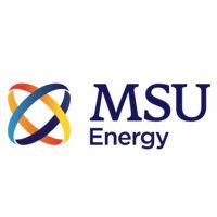 msu energy logo image