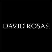 david rosas logo image