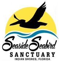 seaside seabird sanctuary, llc logo image