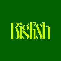 bigfish logo image