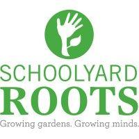 schoolyard roots