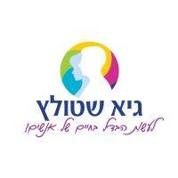 גיא שטולץ logo image