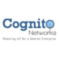 cognito networks logo image