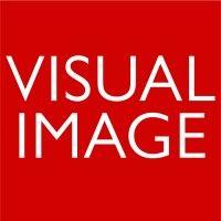 visual image logo image