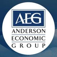 anderson economic group, llc logo image