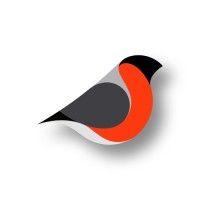 bullfinch.io logo image