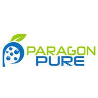 paragon pure logo image