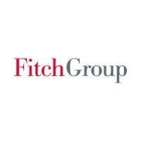 fitch group, inc.