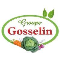 groupe gosselin logo image