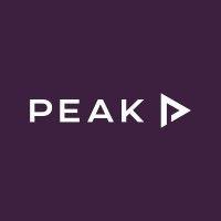 peak processing solutions logo image