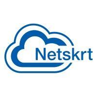 netskrt systems inc. logo image