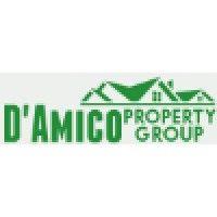 d'amico property group logo image