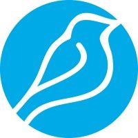 bluebird logo image