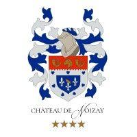 chateau de noizay logo image