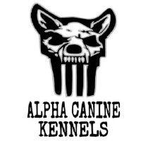 alpha canine kennels, llc