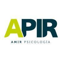 apir academia de preparación pir sl logo image