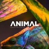 animal marketing digital logo image