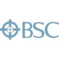 business survey consultants (bsc) logo image