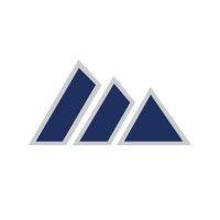 triad advisors logo image