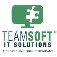 teamsoft logo image