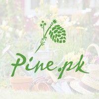 pine.pk logo image