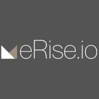 erise.io logo image