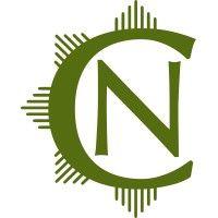 noell consulting group logo image